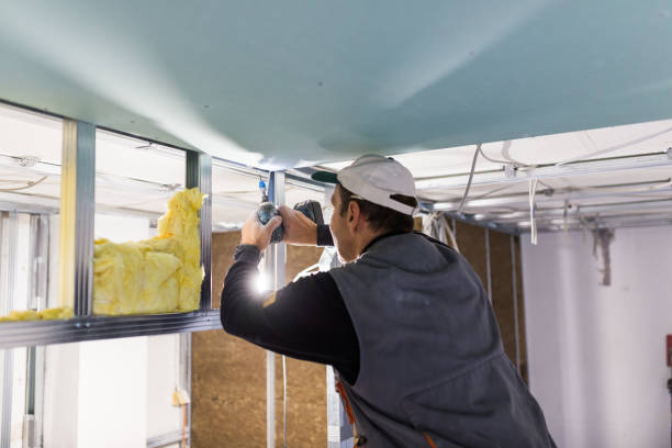 Best Insulation Maintenance and Repair in Millis Clicquot, MA