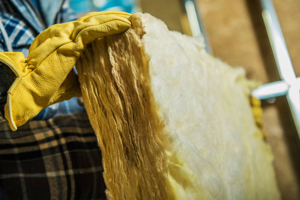 Best Eco-Friendly Insulation in Millis Clicquot, MA